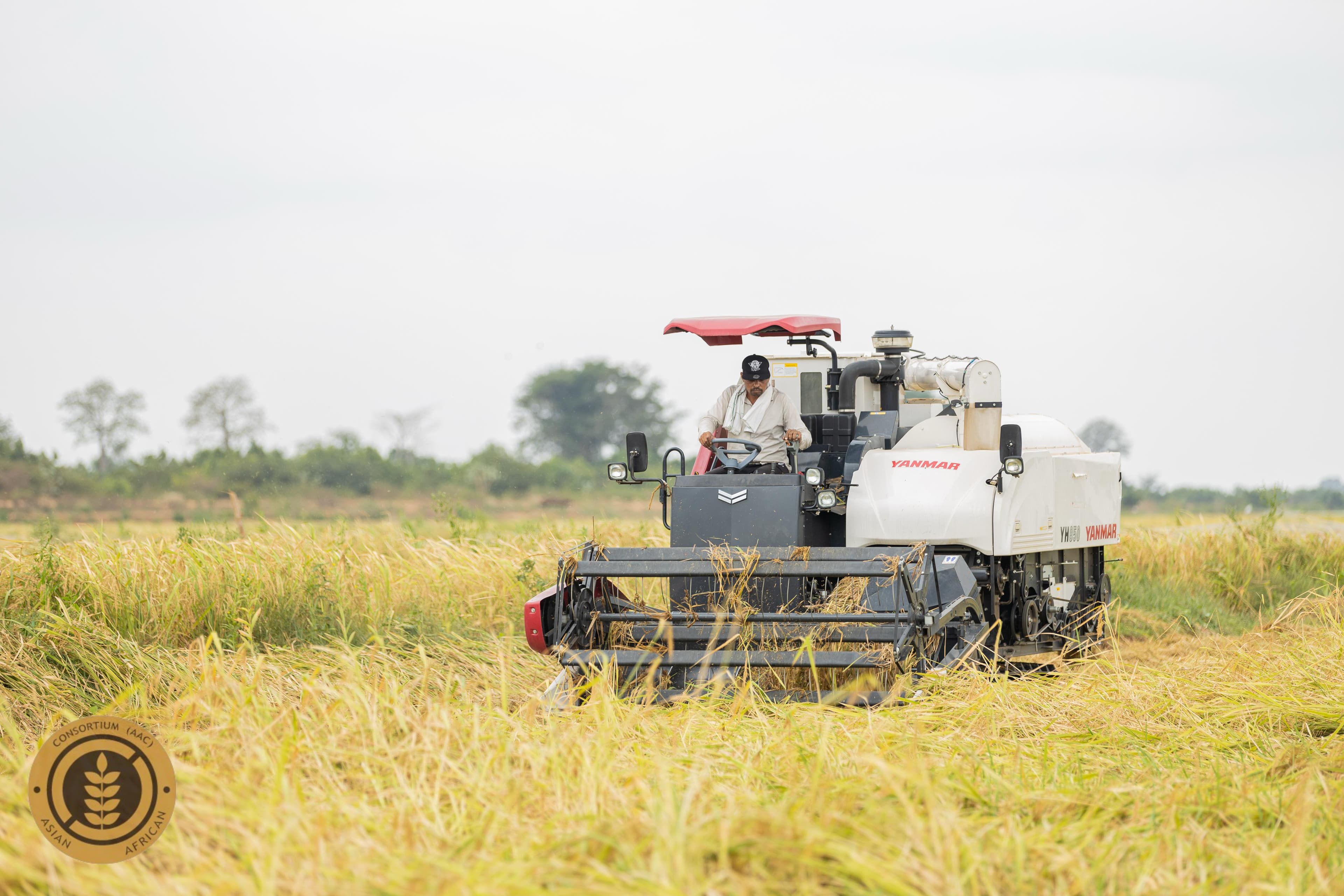 Agribusiness activity supported by Jospong Group